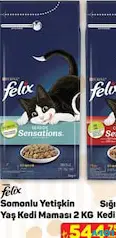 FELİX SOMONLU YETİŞKİN YAŞ KEDİ MAMASI 2 KG